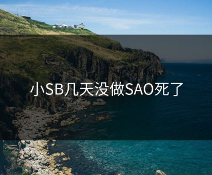 小SB几天没做SAO死了