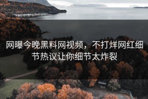 网曝今晚黑料网视频，不打烊网红细节热议让你细节太炸裂