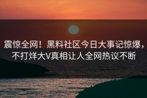 震惊全网！黑料社区今日大事记惊爆，不打烊大V真相让人全网热议不断