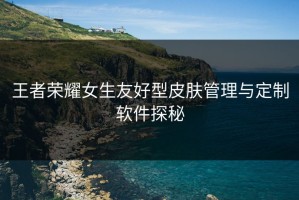 王者荣耀女生友好型皮肤管理与定制软件探秘