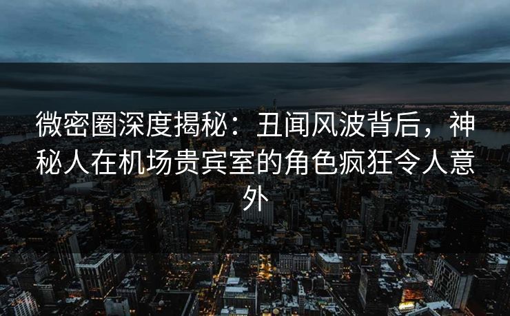 微密圈深度揭秘：丑闻风波背后，神秘人在机场贵宾室的角色疯狂令人意外