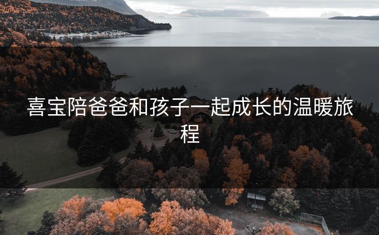 喜宝陪爸爸和孩子一起成长的温暖旅程