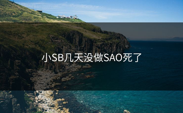 小SB几天没做SAO死了