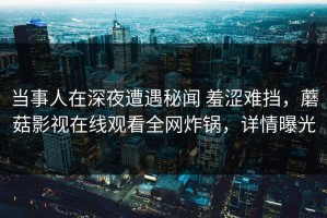 当事人在深夜遭遇秘闻 羞涩难挡，蘑菇影视在线观看全网炸锅，详情曝光