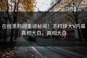 在线黑料网重磅秘闻！不打烊大V内幕真相大白，真相大白