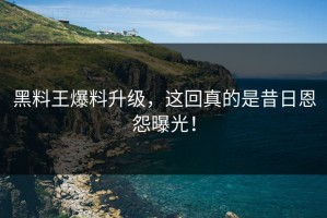黑料王爆料升级，这回真的是昔日恩怨曝光！