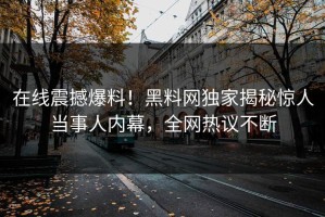 在线震撼爆料！黑料网独家揭秘惊人当事人内幕，全网热议不断