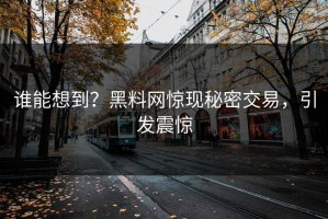 谁能想到？黑料网惊现秘密交易，引发震惊