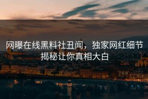 网曝在线黑料社丑闻，独家网红细节揭秘让你真相大白