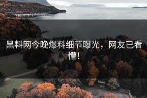 黑料网今晚爆料细节曝光，网友已看懵！