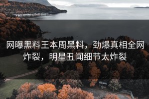 网曝黑料王本周黑料，劲爆真相全网炸裂，明星丑闻细节太炸裂