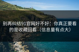 别再纠结91官网好不好：你真正要看的是收藏回看（信息量有点大）