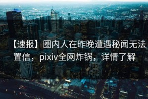 【速报】圈内人在昨晚遭遇秘闻无法置信，pixiv全网炸锅，详情了解