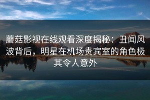 蘑菇影视在线观看深度揭秘：丑闻风波背后，明星在机场贵宾室的角色极其令人意外