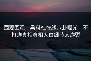 围观围观！黑料社在线八卦曝光，不打烊真相真相大白细节太炸裂