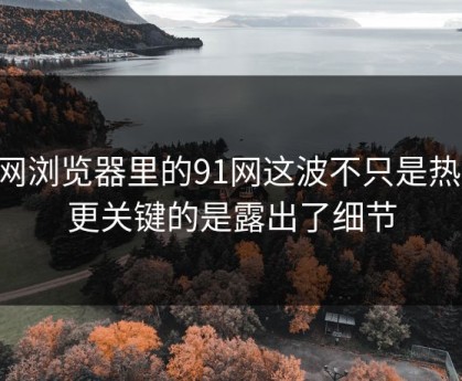 91网浏览器里的91网这波不只是热度，更关键的是露出了细节