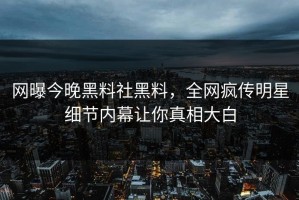 网曝今晚黑料社黑料，全网疯传明星细节内幕让你真相大白