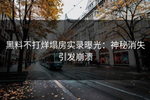 黑料不打烊塌房实录曝光：神秘消失引发崩溃