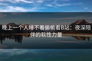 晚上一个人睡不着偷偷看B站：夜深陪伴的软性力量