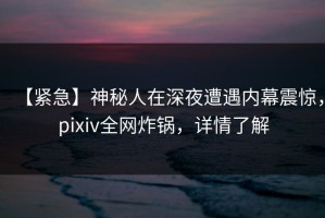 【紧急】神秘人在深夜遭遇内幕震惊，pixiv全网炸锅，详情了解