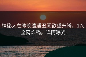 神秘人在昨晚遭遇丑闻欲望升腾，17c全网炸锅，详情曝光