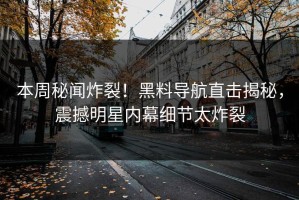 本周秘闻炸裂！黑料导航直击揭秘，震撼明星内幕细节太炸裂