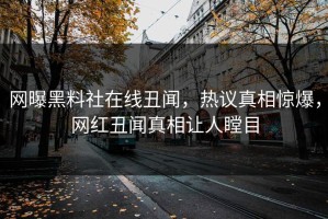 网曝黑料社在线丑闻，热议真相惊爆，网红丑闻真相让人瞠目