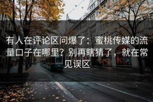 有人在评论区问爆了：蜜桃传媒的流量口子在哪里？别再瞎猜了，就在常见误区