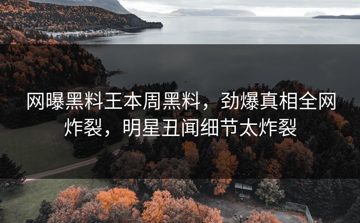 网曝黑料王本周黑料，劲爆真相全网炸裂，明星丑闻细节太炸裂