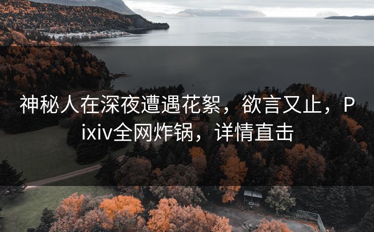 神秘人在深夜遭遇花絮，欲言又止，Pixiv全网炸锅，详情直击