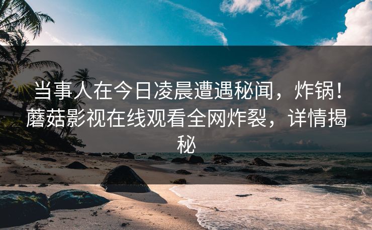 当事人在今日凌晨遭遇秘闻，炸锅！蘑菇影视在线观看全网炸裂，详情揭秘
