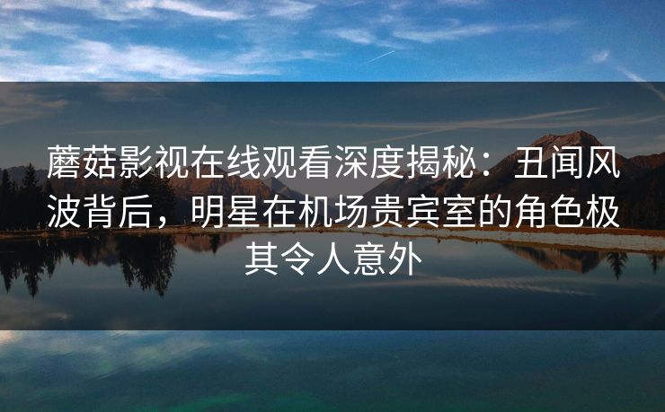 蘑菇影视在线观看深度揭秘：丑闻风波背后，明星在机场贵宾室的角色极其令人意外