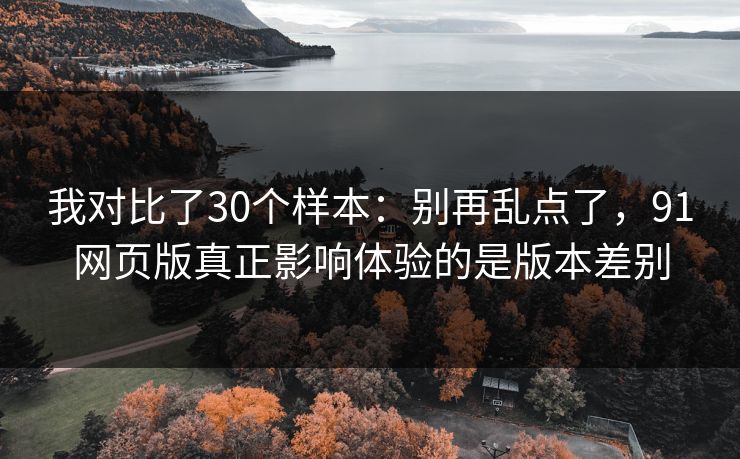 我对比了30个样本：别再乱点了，91网页版真正影响体验的是版本差别